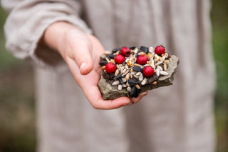 Mini Bird Pizza Kit – Feed the Birds