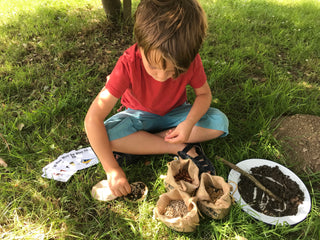 Mini Bird Pizza Kit – Feed the Birds