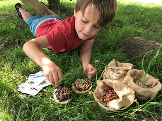 Mini Bird Pizza Kit – Feed the Birds