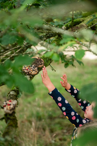 Mini Bird Pizza Kit – Feed the Birds