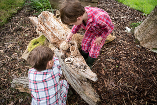 Mini Bird Pizza Kit – Feed the Birds