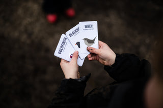 Mini Bird Pizza Kit – Feed the Birds